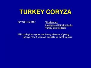 TURKEY CORYZA SYNONYMS Alcaligenes Alcaligenes Rhinotracheitis Turkey Bordetellosis