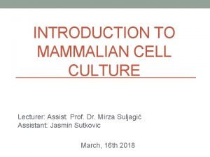 INTRODUCTION TO MAMMALIAN CELL CULTURE Lecturer Assist Prof