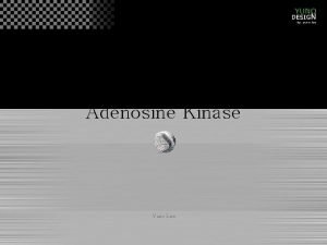 Adenosine Kinase Yuno Lee What is adenosine Adenosine