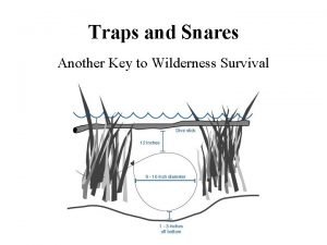 Traps and Snares Another Key to Wilderness Survival