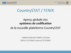 Country STAT FENIX Aperu globale des systmes de