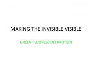MAKING THE INVISIBLE GREEN FLUORESCENT PROTEIN From gene