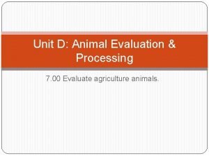 Animal evaluation