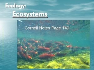 Ecology Ecosystems Cornell Notes Page 149 What is