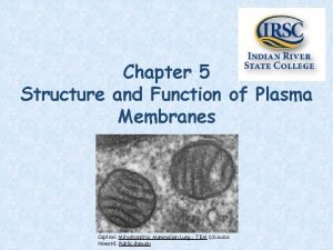 Chapter 5 Structure and Function of Plasma Membranes