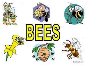 abcteach com Bees make honey abcteach com Many