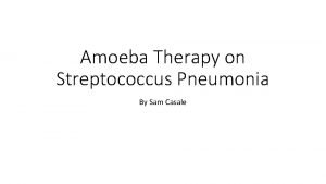 Amoeba Therapy on Streptococcus Pneumonia By Sam Casale