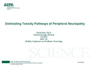 Delineating Toxicity Pathways of Peripheral Neuropathy David Herr