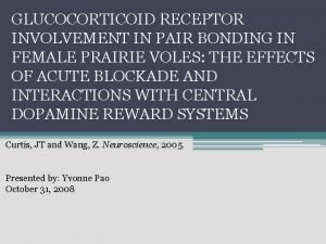 GLUCOCORTICOID RECEPTOR INVOLVEMENT IN PAIR BONDING IN FEMALE