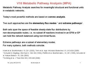 V 16 Metabolic Pathway Analysis MPA Metabolic Pathway