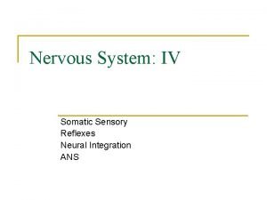 Location of sensory neurons