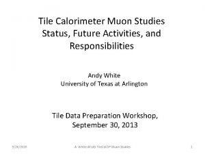 Tile Calorimeter Muon Studies Status Future Activities and
