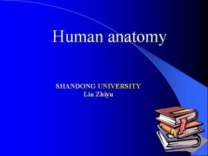 Human anatomy SHANDONG UNIVERSITY Liu Zhiyu Introduction Definition