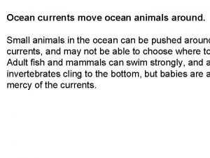 Ocean currents move ocean animals around Small animals