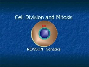 Cell Division and Mitosis NEWSON Genetics Chromosome n