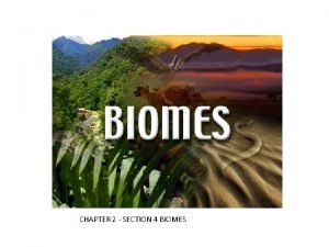 What are biomes