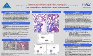 Incidence of Pulmonary Fibrosis in Lungs of CUX