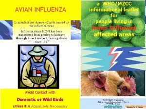 AVIAN INFLUENZA Is an infectious disease of birds