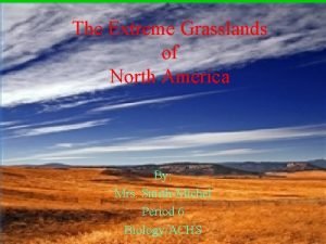 The Extreme Grasslands of North America By Mrs