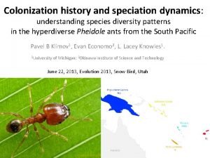 Colonization history and speciation dynamics understanding species diversity