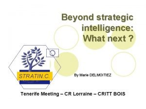 Beyond strategic intelligence What next STRATIN C By