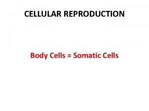 CELLULAR REPRODUCTION Body Cells Somatic Cells What are
