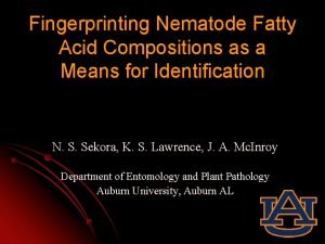 Nematode Nematode