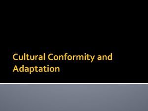 Cultural Conformity and Adaptation Values in Our Society