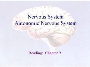 Nervous System Autonomic Nervous System Reading Chapter 9