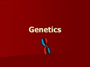 Genetics n Genetics is the study of heredity