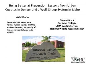 Being Better at Prevention Lessons from Urban Coyotes