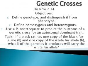 Genetic Crosses 3 Do Now 2 14 Objectives