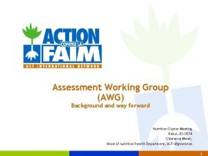 Assessment Working Group AWG Background and way forward