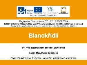 Registran slo projektu CZ 1 071 1 3802