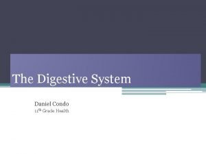 Ingestion digestive system