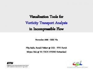 Visualization Tools for Vorticity Transport Analysis in Incompressible