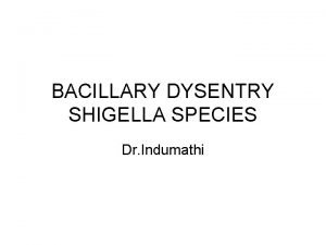 BACILLARY DYSENTRY SHIGELLA SPECIES Dr Indumathi KLEBSIELLA GRAM