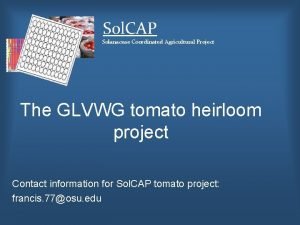 Sol CAP Solanaceae Coordinated Agricultural Project The GLVWG