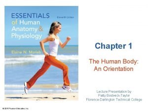 The human body an orientation