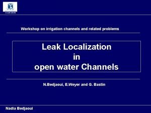 Workshop on irrigation channels and related problems Leak