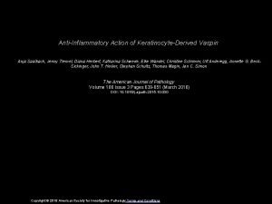 AntiInflammatory Action of KeratinocyteDerived Vaspin Anja Saalbach Jenny