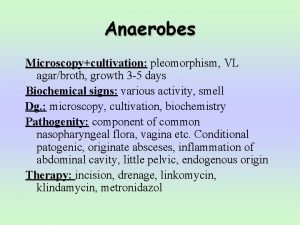 Anaerobes Microscopycultivation pleomorphism VL agarbroth growth 3 5