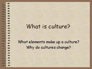 What elements make up a culture