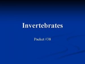 Invertebrates Packet 38 Introduction I Introduction II Invertebrates