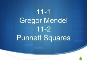 Gregor mendel punnett square
