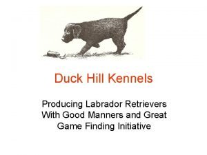 Duckhill kennels