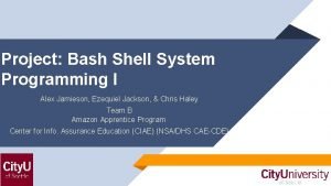 Bash shell exercises