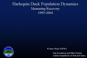 Harlequin Duck Population Dynamics Measuring Recovery 1995 2004