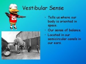 Vestibular sense