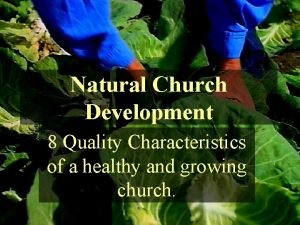 Natural church development 8 characteristics